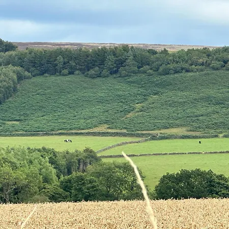 펜션 Rose Cottage, Village With Hot Tub - Rural Location *