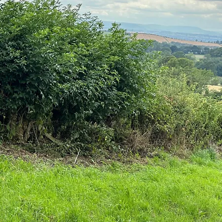 Rose Cottage, Village With Hot Tub - Rural Location *